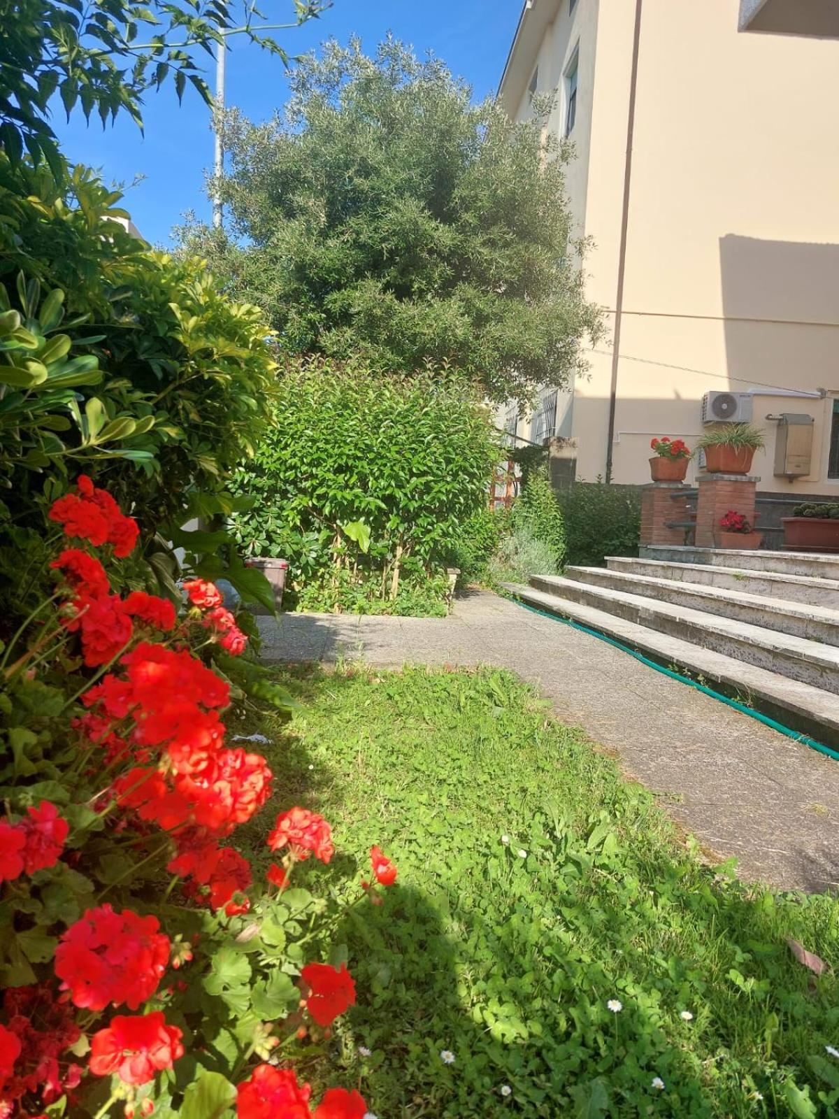 بيزا Villa Mehari المظهر الخارجي الصورة